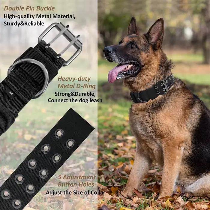 Collier tactique pour chien