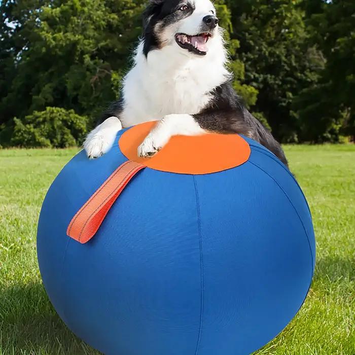 Jouet de dressage pour chiens : balle d'entraînement