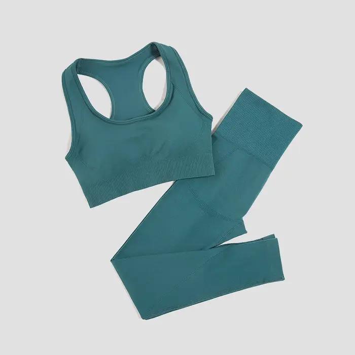 Leggings rembourrés sans couture pour femme, ensemble de sport, yoga, survêtement, vêtements de fitn