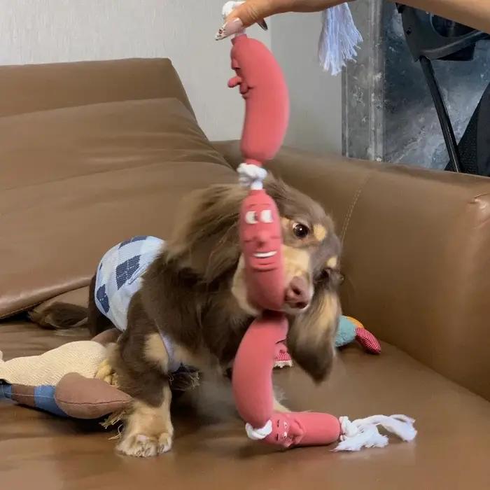Jouet à mâcher pour chien en forme de saucisse