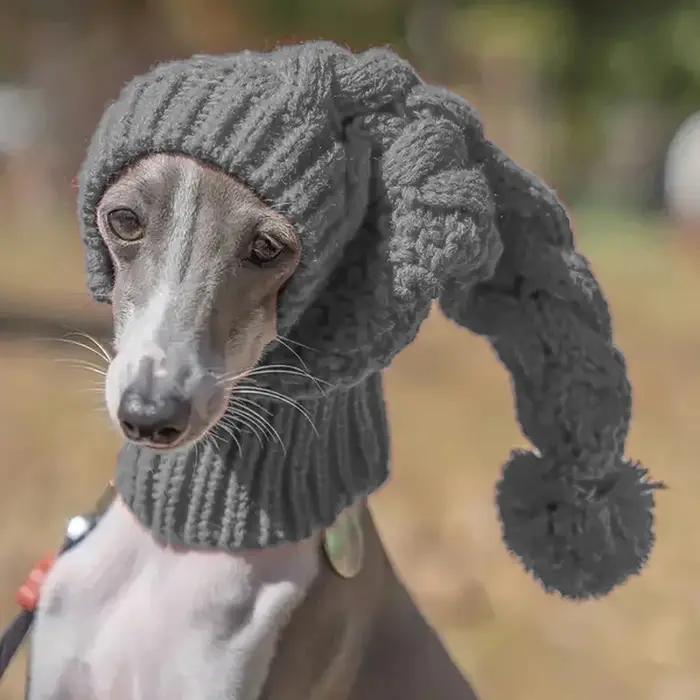 Bonnet en laine tricoté à la main pour chien de grande taille