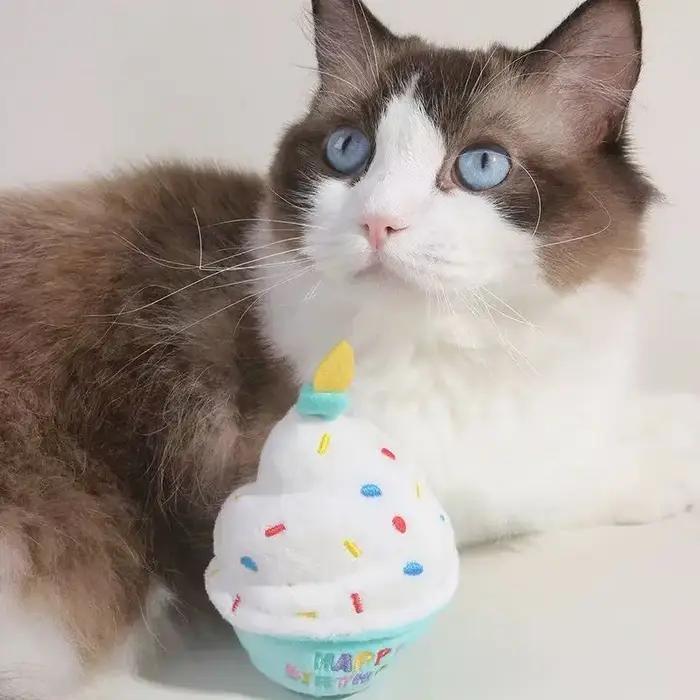 1 pièce Jouet d'anniversaire pour chien en peluche douce et couineuse avec bougies colorées, durable