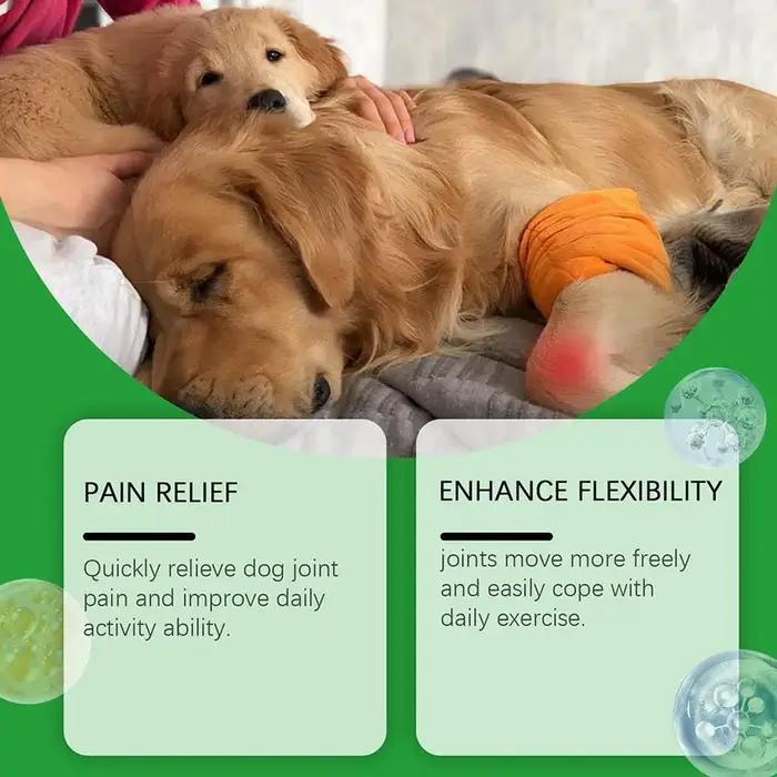 Complément alimentaire à la chondroïtine pour les articulations des animaux de compagnie, saveur poulet, pour la mobilité, la flexibilité et la santé articulaire à long terme des chiens.