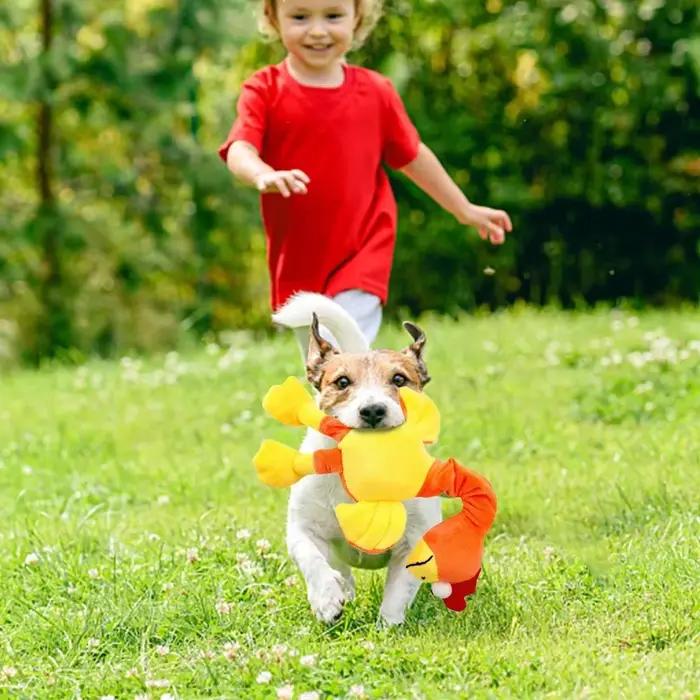 Jouet pour chien poulet criard résistant aux morsures, jouet à mâcher qui couine pour chiots, accessoires d'entraînement interactif pour animaux de compagnie, produits pour animaux de compagnie, chiot