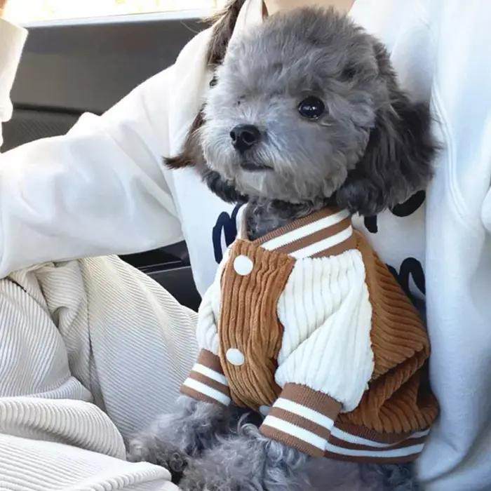 Vestes de Baseball brodées pour animaux de compagnie