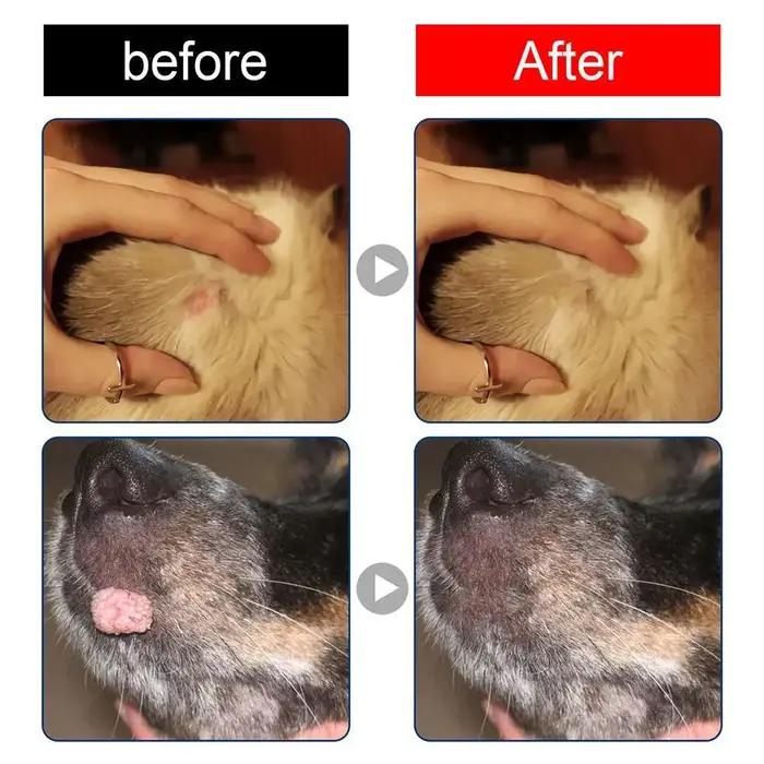 Traitement naturel Dissolveur de Verrues pour Chiens Formule Sans Douleur Pour Animaux de Compagnie Occasions Spéciales Soins de Chiens