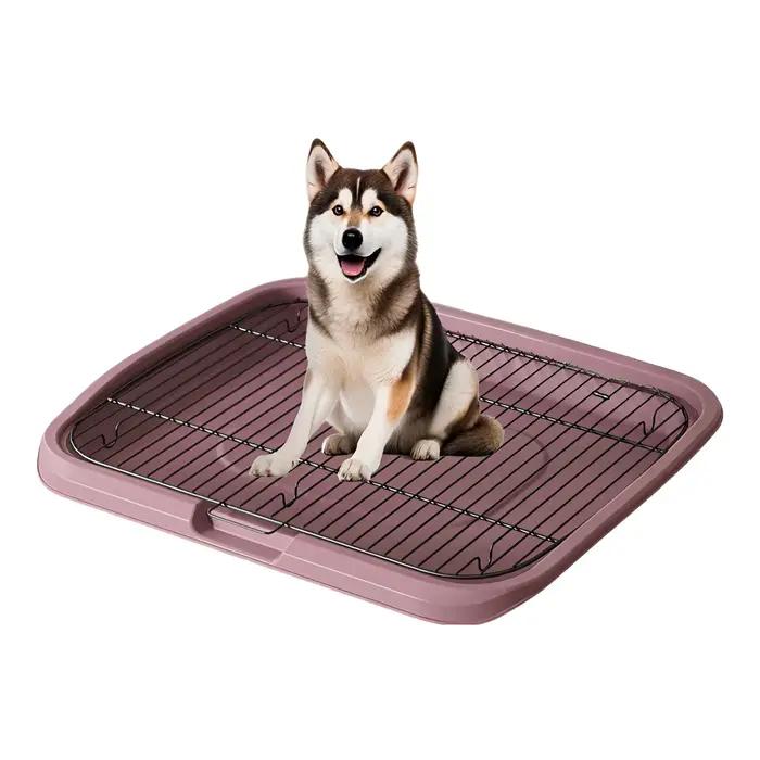 Grand toilettes pour chiens de compagnie