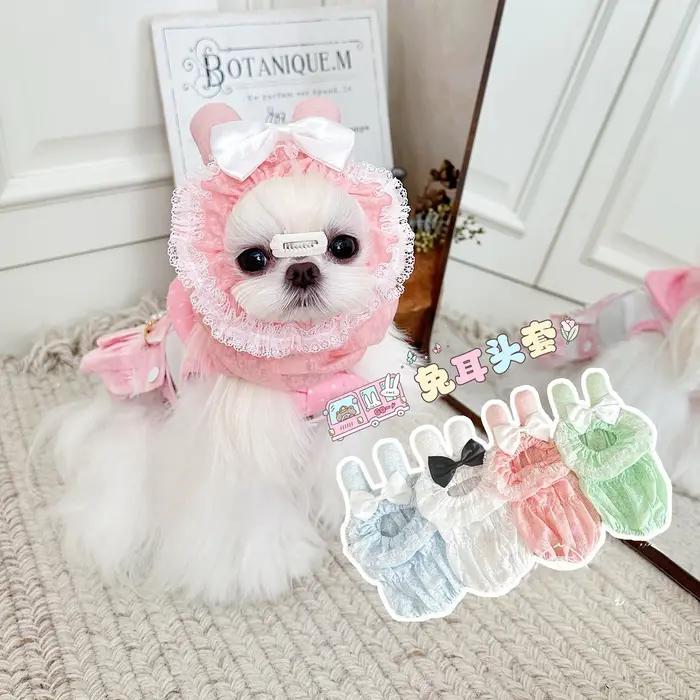 Accessoires pour chiens : Bandeau anti-salissure pour petits chiens