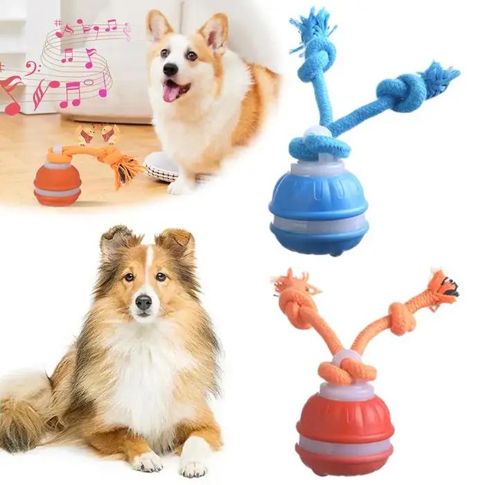 Jouets interactifs pour chiens, balle à activation par mouvement, balle roulante pour chiots/petits chiens, jouet à mouvement automatique, jouet rechargeable par USB