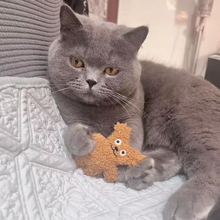 Peluche en peluche menthe pour compagnon doux et apaisant jouet en peluche pour chien chiens blanc ou noir jouet pour réconfort occasions spéciales