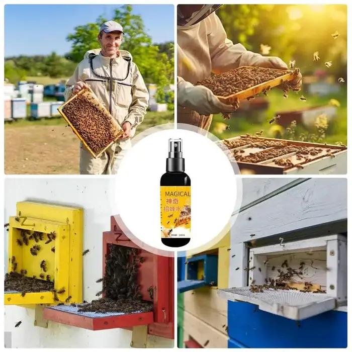 100ml apiculture attractif swarm commandant Premium ruche