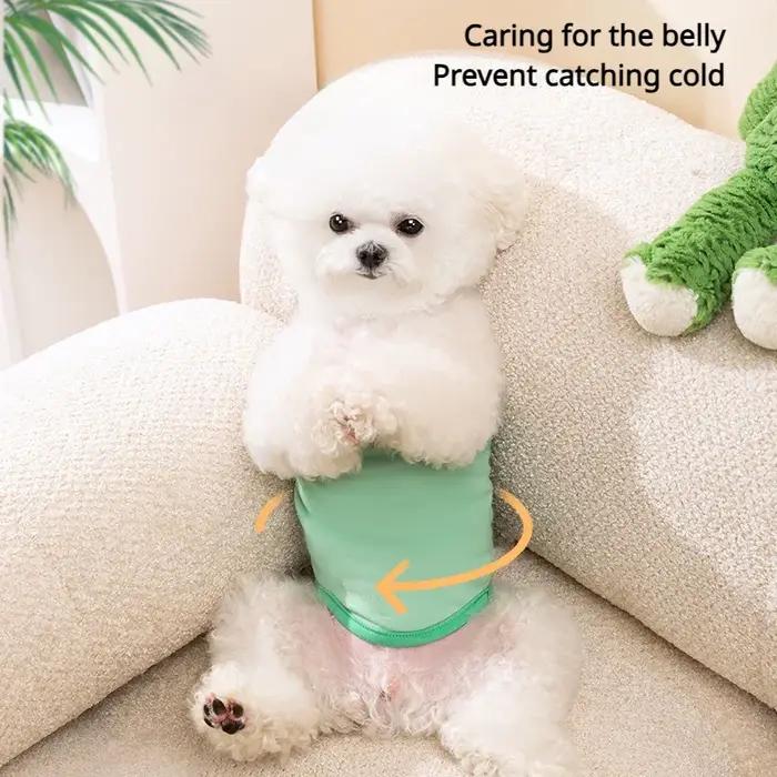 Pantalon physiologique hygiénique pour chien mâle, FjCartoon Pet, anti-Al-, pantalon de sécurité, couche en coton Estrus Corgi, bande abdominale