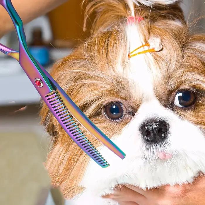 Ciseaux courbés à double lame pour la toilettage des chiens