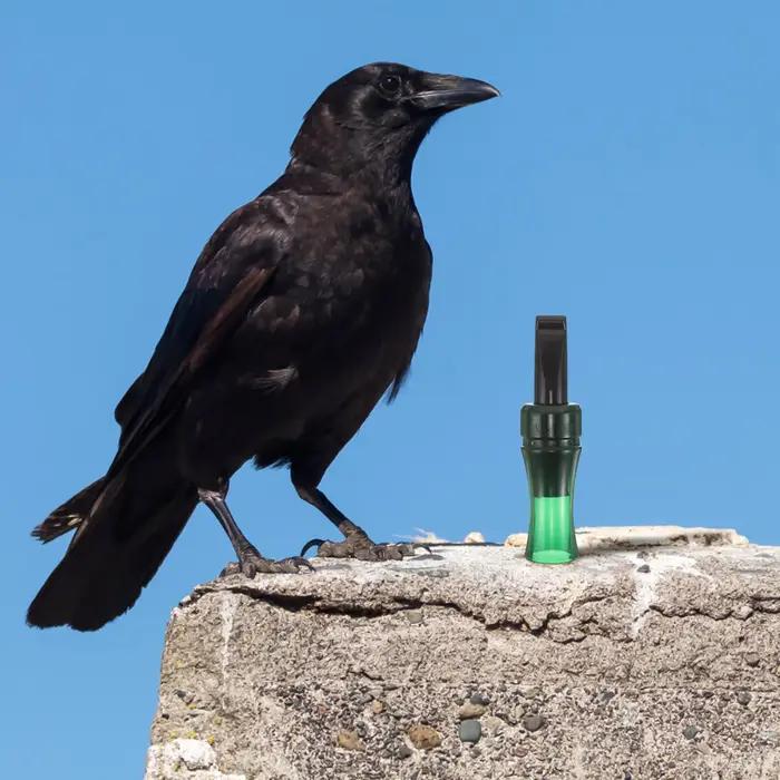 Appeau corbeau portable - Sifflet attracteur naturel pour observation faune et chasse aux corvidés légère