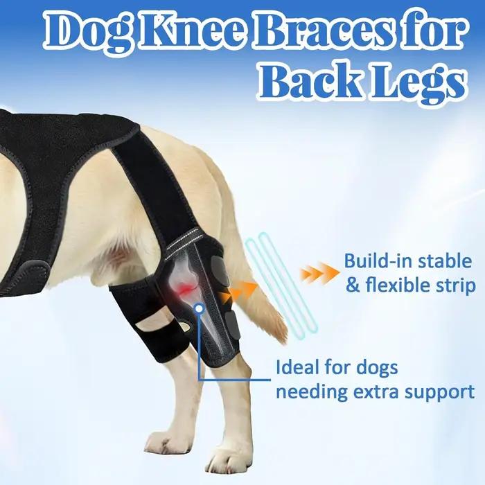 Attelles de genou pour chien pour pattes arrière