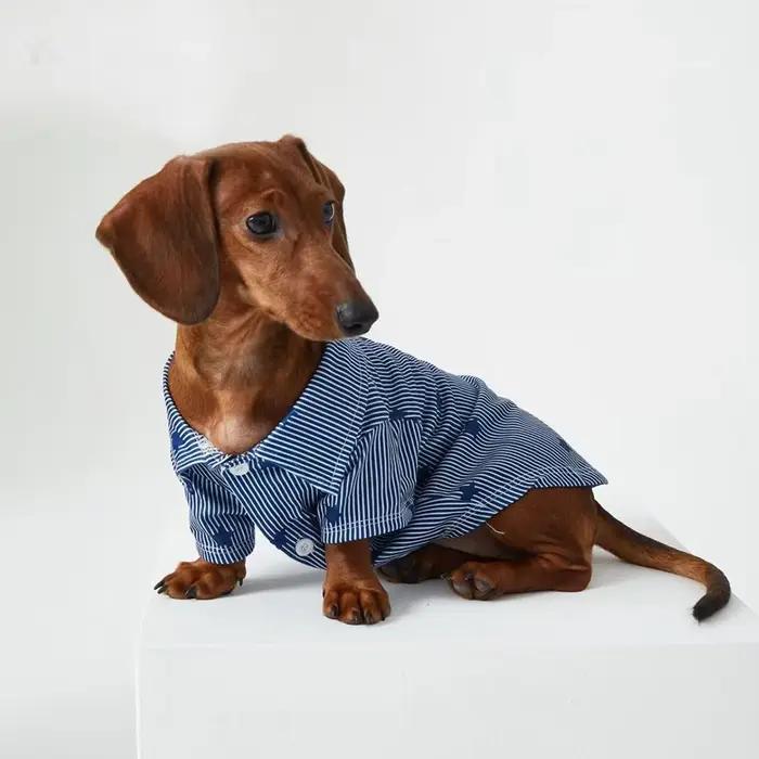 T-Shirt étoile rayé Style Gentleman britannique pour chiens saucisses printemps automne