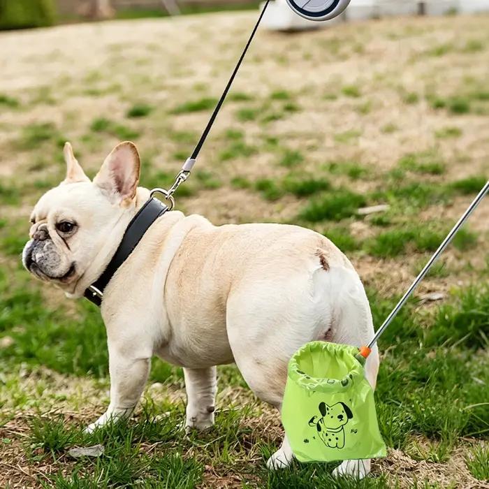 Ramasse-crottes portable et extensible pour chien – Outil de nettoyage des excréments pour animaux de compagnie – Ramasse-crottes portable pour animaux de compagnie