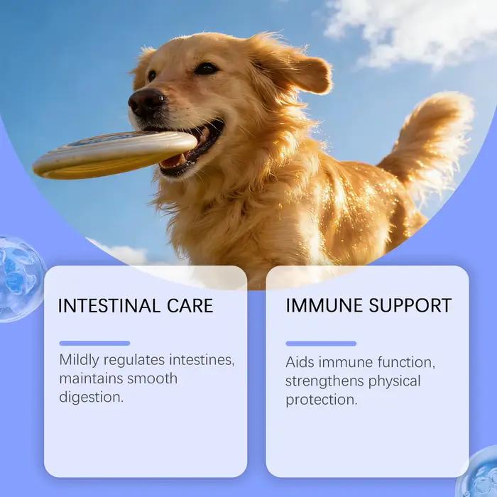 Poudre de complément immunitaire pour animaux de compagnie 100g avec Reishi