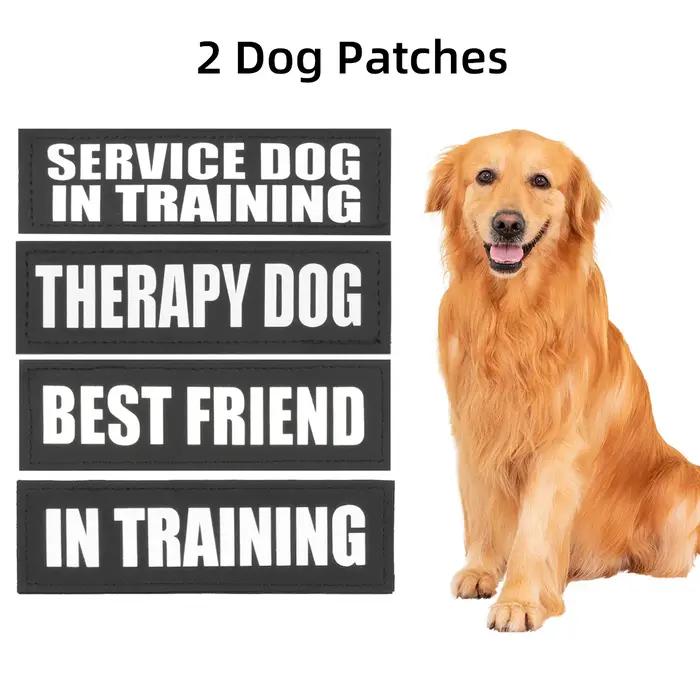 Étiquettes d'identification personnalisées pour chien