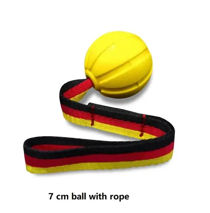 Balles de jouets pour chiens sur une corde pour chiens de petite