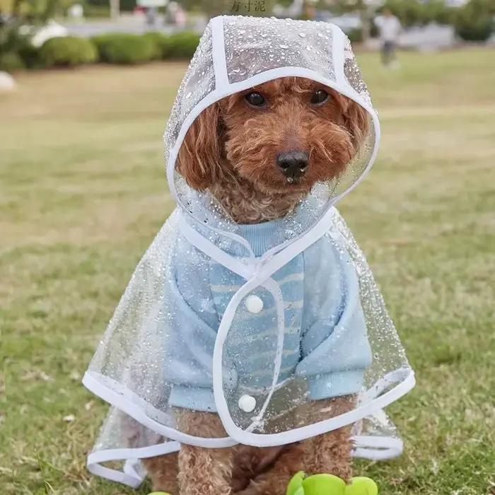  Vêtements de pluie transparents pour animaux de compagnie
