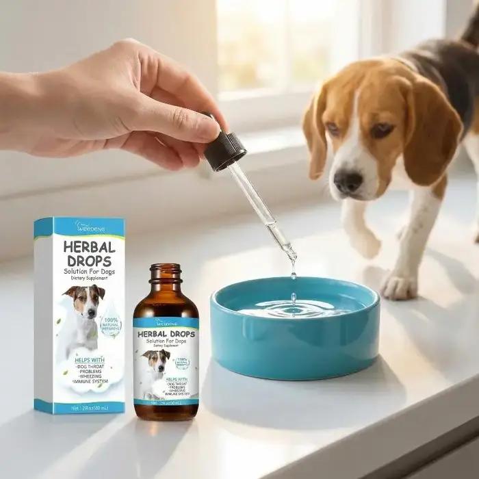 Gouttes YeGBOG pour Animaux Naturellement Apaisantes Soulagement de la Toux et du Rhume Occasionnellement Offerte Pour Animaux Malades