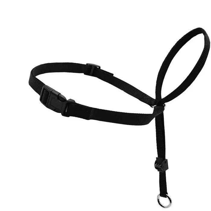Collier de tête rembourré réglable en nylon pour chien