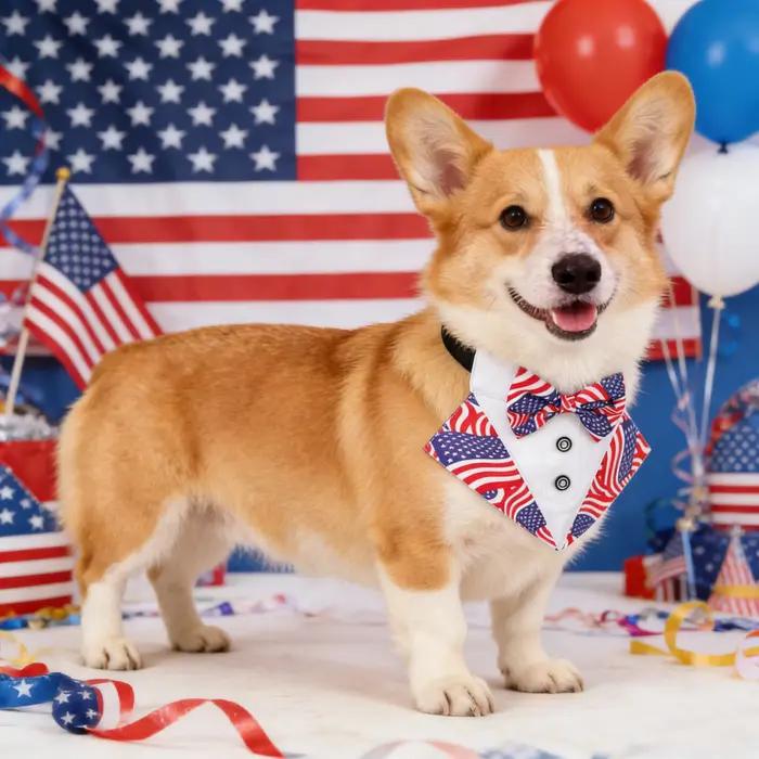 Collier de smoking pour chien Sucado avec drapeau américain et nœud papillon
