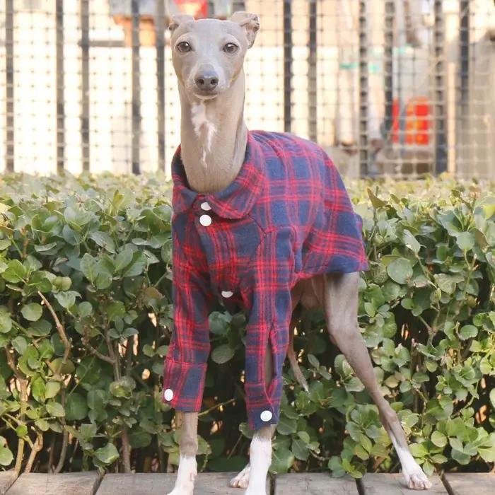 Manteau de printemps à manches longues en coton vert pour chiens mi-chiens