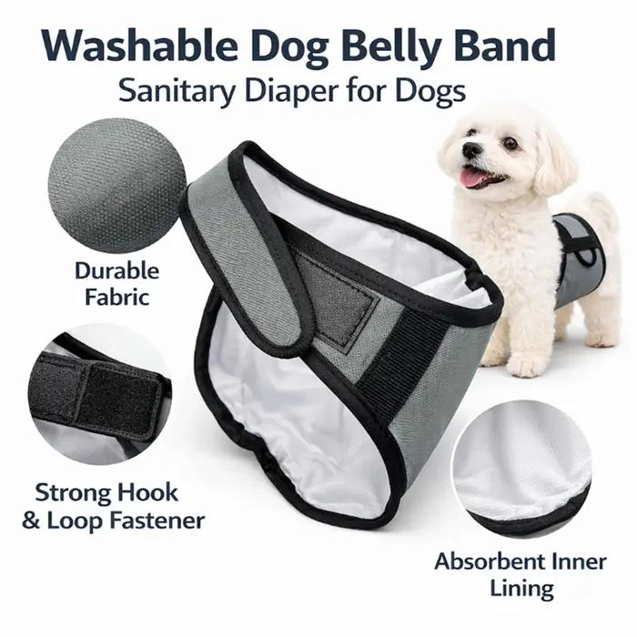 Nouvelles couches d'apprentissage pour chiens mâles