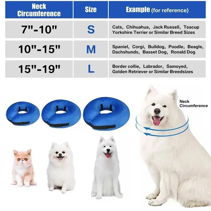 Colliers de protection pour chiens après chirurgie