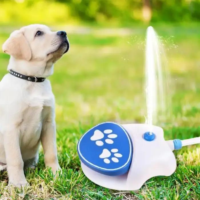 Fontaine d'Eau pour Chien