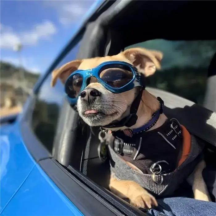 Lunettes de soleil mignonnes pour animaux de compagnie