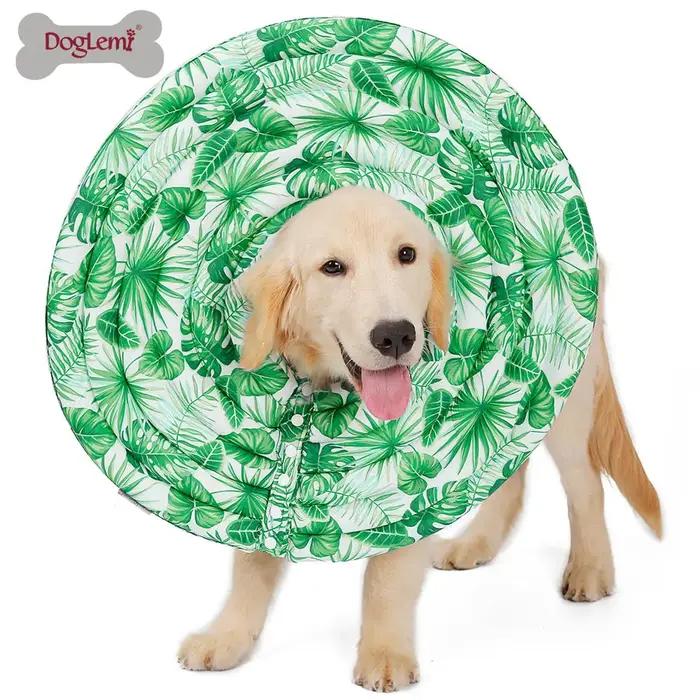 Colliers de protection pour chiens Elizabethan