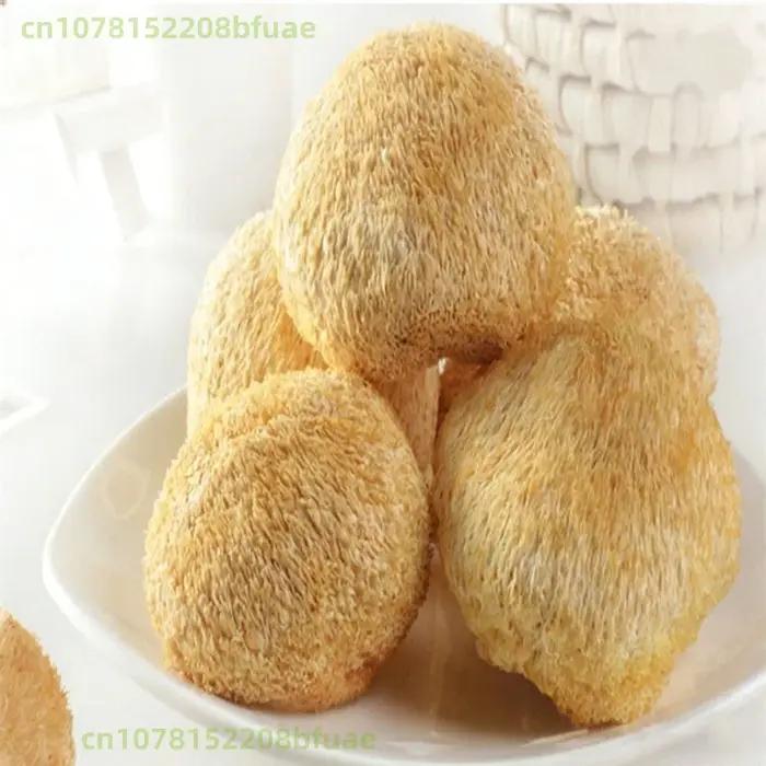 Champignons Crinière de Lion Séchés de Haute Qualité