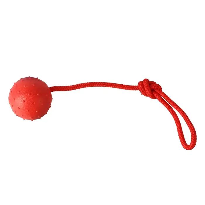 Balle en caoutchouc indestructible avec corde pour chiens, jouet à mâcher pour chiots, anti-ennui, entraînement et mastication