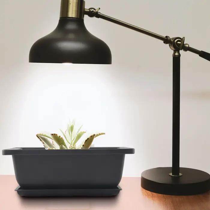 Pots à Bonsaï Carrés en Plastique avec Maille spatirée, Support Profond Classique pour Plantes, Fleu