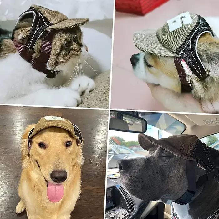 Casquette pour chien avec trous pour les oreilles
