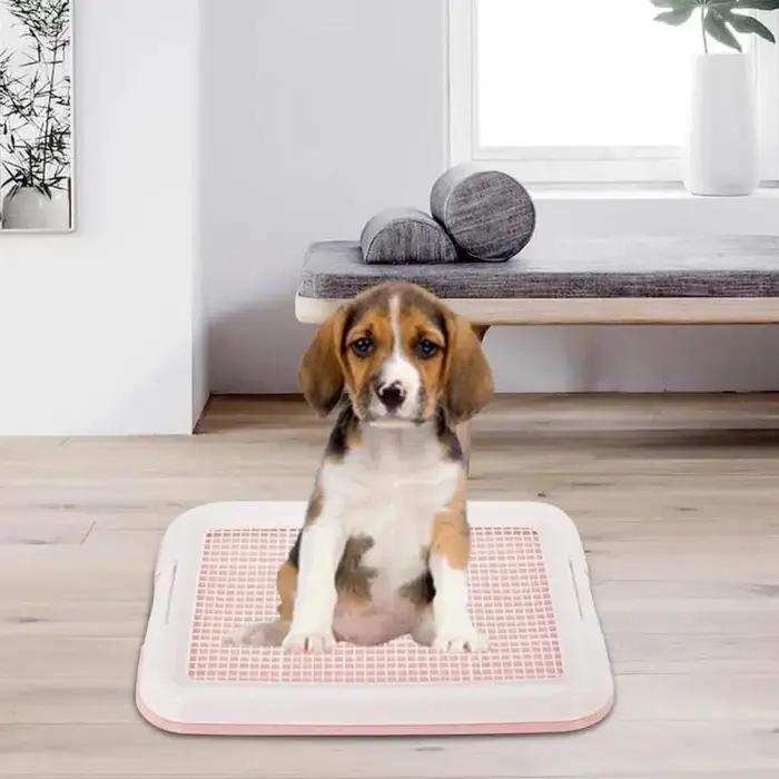 Tapis d'entraînement en pot d'intérieur pour chiens
