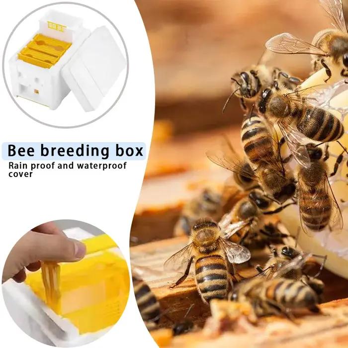 Boîte d'élevage d'abeilles reine, boîte d'accouplement d'élevage d'abeilles, boîte de polinination de ruche en mousse, outils pour l'apiculture, étui d'élevage, équipement pour l'apiculture