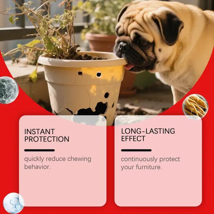 Spray dissuasif à mâcher pour chien
