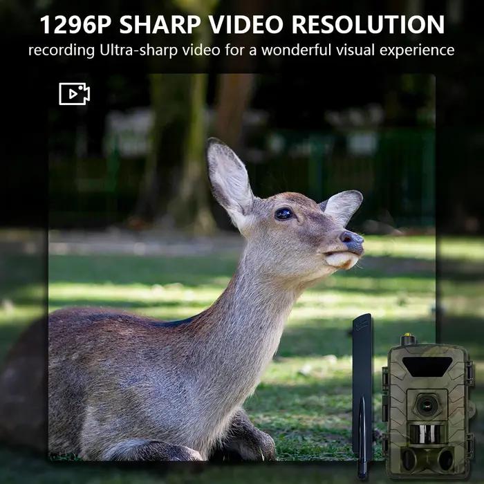 Caméra de chasse et de suivi des sentiers 4G SIM 60MP 1296P vision nocturne pour la faune activation par mouvement pour l'extérieur