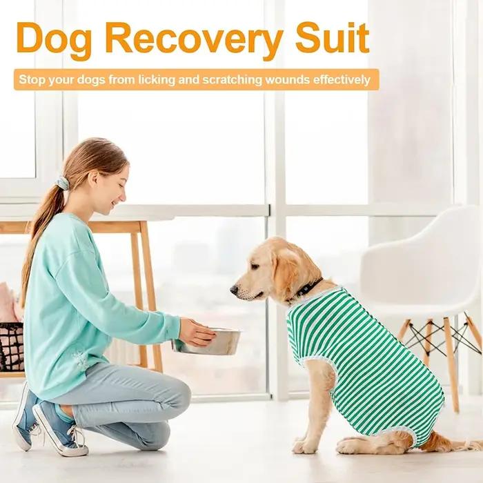 Combinaison de récupération pour chien pour après chirurgie