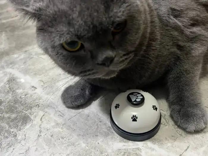 Cloche d'Entraînement Interactive pour Chien et Chat