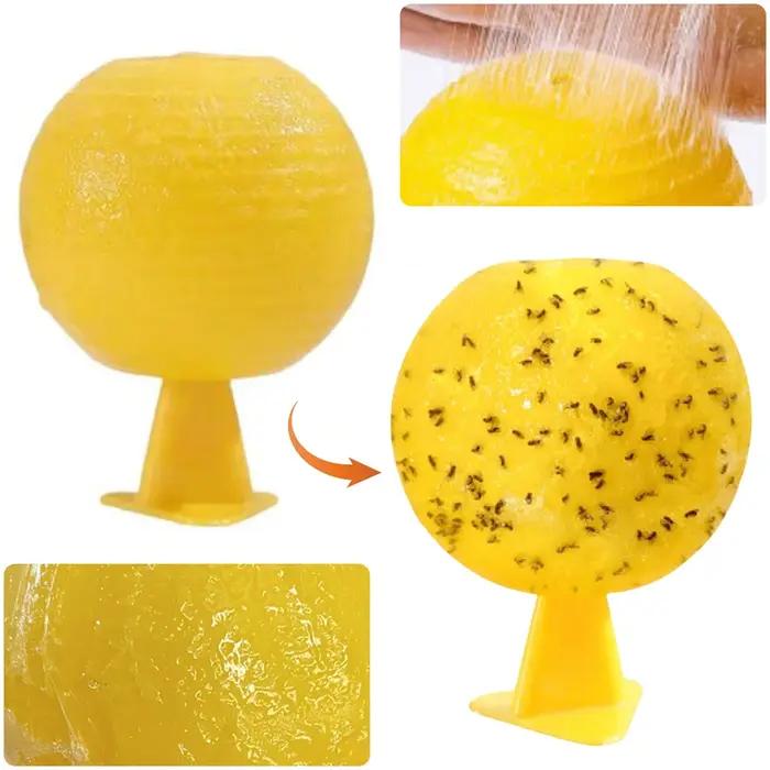 Pièges à mouches des fruits