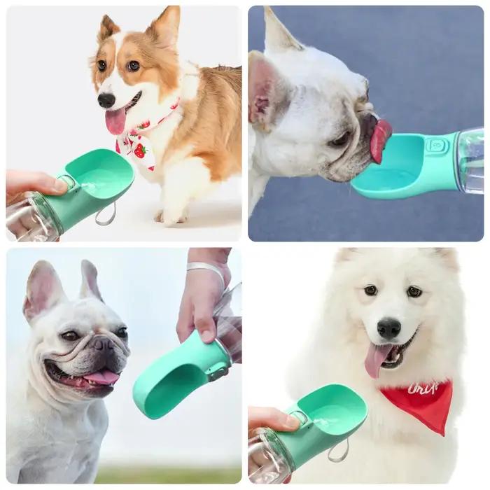 Bouteille d'eau portable pour chiens de petite et grande taille