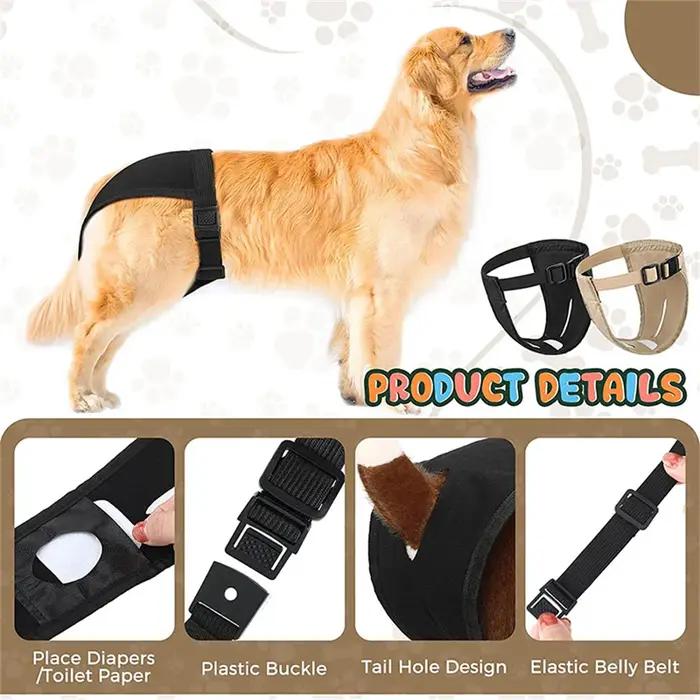 Culotte réglable pour chien féminin