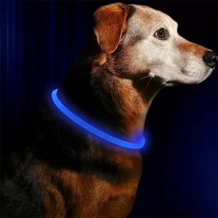 Collier lumineux LED pour chien et chat brillant anti-perte chargeur USB veilleuse pour animaux de compagnie sécurité promenades nocturnes