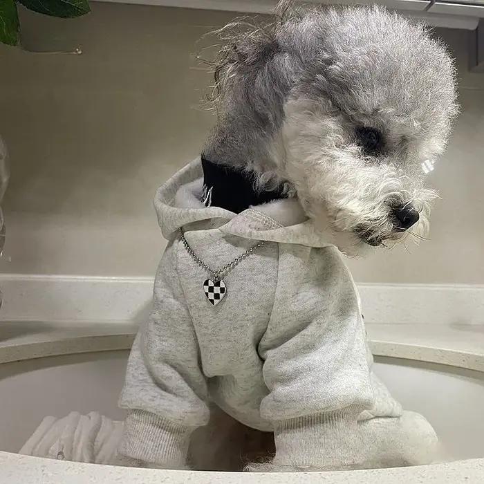 Sweat-shirts pour animaux de compagnie – Vêtements chauds printemps-automne pour chiens – Sweats à capuche en polaire épaisse avec imprimé lettres pour chiens et chats