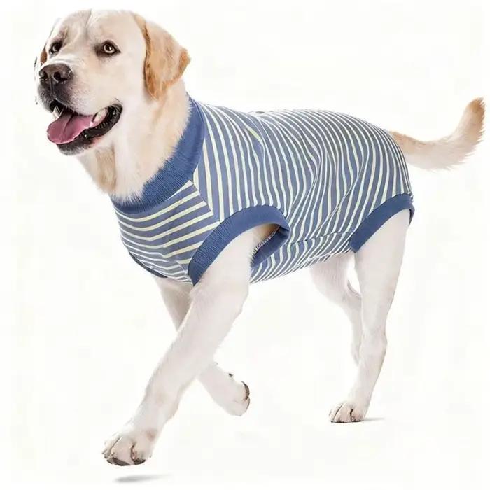 Combinaison de Stérilisation pour Chien en Velours Avec Rayures Élégantes et Tailles Variaibles Pour Chats et Chiens Occasions Spéciales Convalescence Post-Opératoire